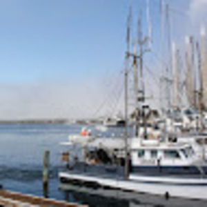 Meet your Posher, Ben